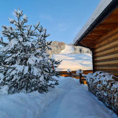 a snow covered tree in front of a cabin at Domek Góralski nad Czorsztynem - Kluszkowce in Kluszkowce