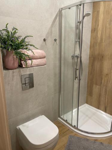 uma casa de banho com um chuveiro, um WC e um lavatório. em Sunny Pobierowo Euronia Apartament em Pobierowo