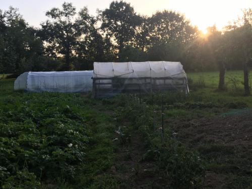 Ein Garten an der Unterkunft La Roulotte CHAINOUX