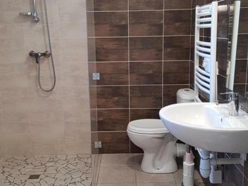 a bathroom with a toilet and a sink at Gîte Veauchette, 3 pièces, 4 personnes - FR-1-496-79 in Veauchette