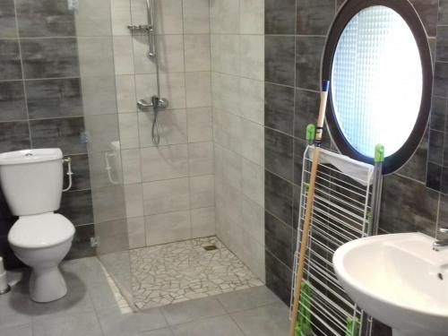 a bathroom with a shower and a toilet and a sink at Gîte Veauchette, 2 pièces, 2 personnes - FR-1-496-77 in Veauchette