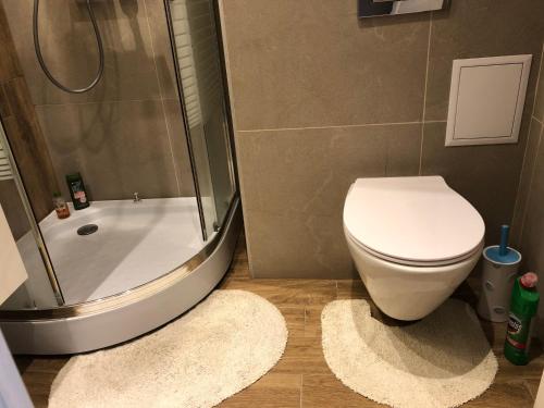 a bathroom with a toilet and a shower and a sink at Jivko's Studio in Varna City