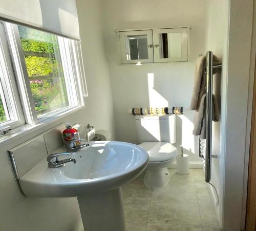 a bathroom with a sink and a toilet at Secret Chalet in Newton Poppleford