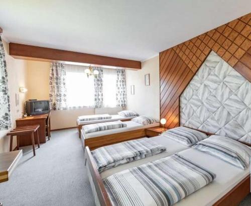a bedroom with two beds and a television in it at Austria Traveller Hotel Lenzing in Lenzing