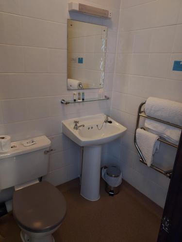a bathroom with a sink and a toilet and a mirror at Maluth Lodge in Great Yarmouth