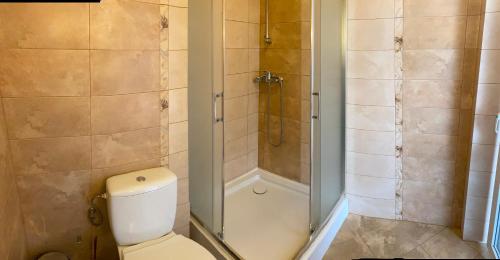 a bathroom with a shower with a toilet and a tub at Старий Янів in Ivano-Frankovo