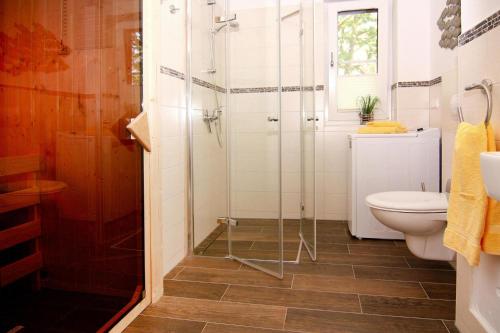 a bathroom with a shower and a toilet at Ferienhaus Kranichnest, Zirchow in Zirchow