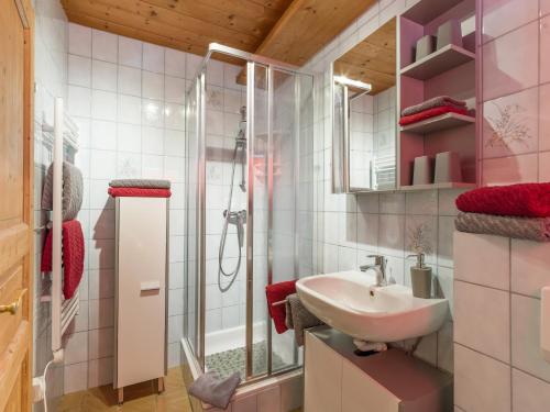 y baño con lavabo y ducha. en Sunnseit Lodge - Kitzbüheler Alpen en Sankt Johann in Tirol