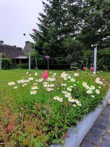 a garden filled with flowers in a yard at Gîte des 4 saisons en Brocéliande in Néant-sur-Yvel