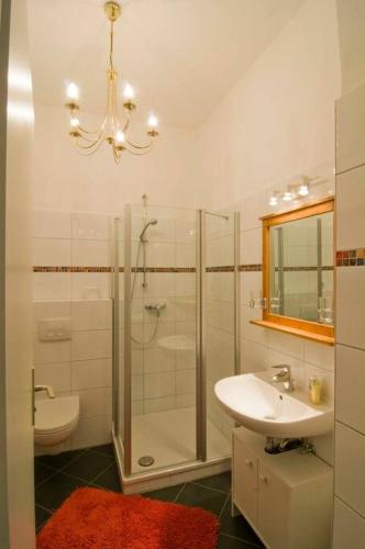 a bathroom with a shower and a sink and a toilet at Low Budget in Bremen
