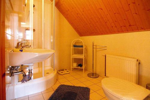 a bathroom with a sink and a shower and a toilet at Apartment, Wieck am Darss in Wieck