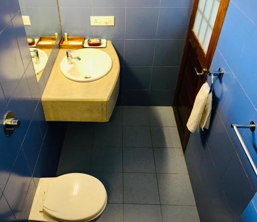 a blue bathroom with a sink and a toilet at The Canopy Guest House in Auroville