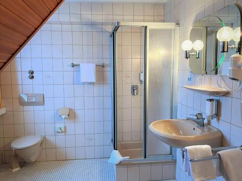 a bathroom with a shower and a sink and a toilet at Hotel Ingeburg in Bad Sachsa
