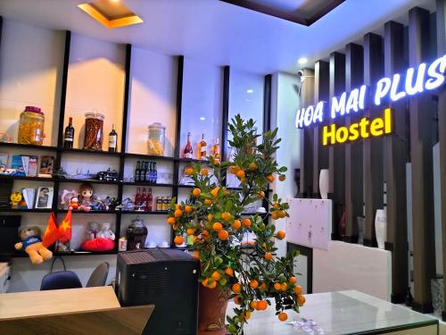 Fotografie z fotogalerie ubytování HOA MAI Plus Hostel v destinaci Ðồng Hới