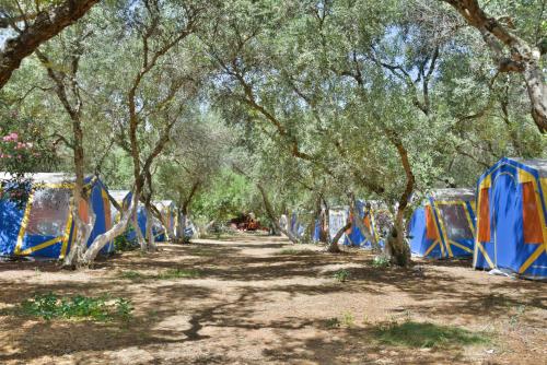 Φωτογραφία από το άλμπουμ του Camping Chania  στο Κάτω Δαράτσο