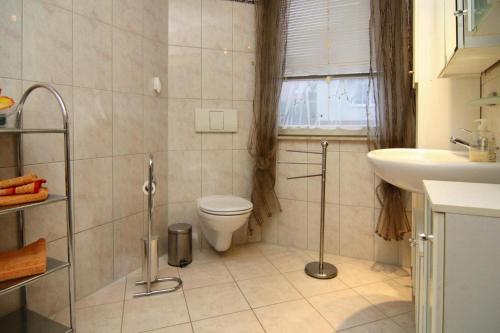 uma casa de banho com um WC e um lavatório em Apartment, Malchow em Malchow