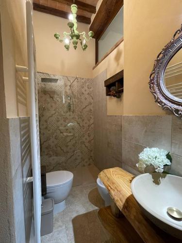 a bathroom with a sink and a mirror and a toilet at Antica Casa del Glicine in Poggibonsi
