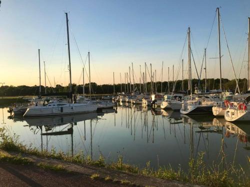 a group of boats docked in a harbor at Bungalow charmant à Meschers-sur-Gironde avec piscine partagée in Meschers-sur-Gironde