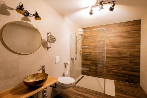 a bathroom with a sink and a toilet and a shower at Apparthotel Bad Schandau by STEIGER Hotels in Bad Schandau