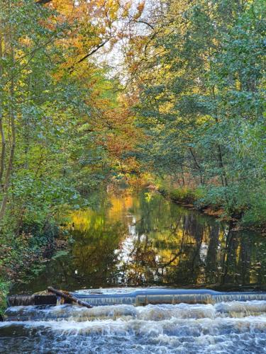 a painting of a river with trees in the background at Hotel Paulsen in Zeven