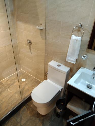 a bathroom with a toilet and a shower and a sink at Hotel Boutique Quinta Camacho in Bogotá