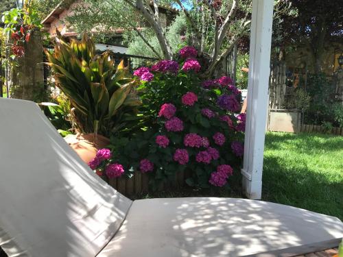 Κήπος έξω από το Finca Vergel
