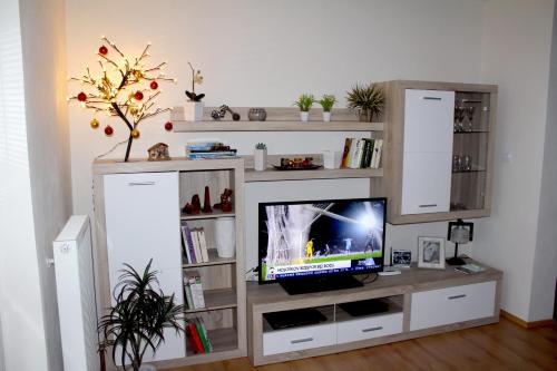 a living room with a television in a entertainment center at Pine Wood Apartment in Vyšné Ružbachy
