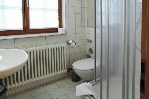 uma casa de banho com um WC, um lavatório e um chuveiro em Apartment Bears, Meersburg em Meersburg