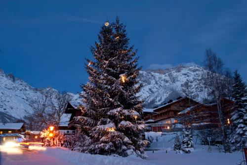a christmas tree covered in snow in front of a lodge at House of Hütter - Wachtelhof & SPA in Maria Alm am Steinernen Meer