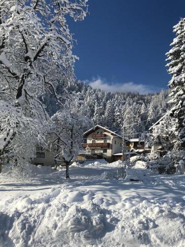 a snow covered yard with a house and trees at Ferienwohnung Pezzei in Schlitters