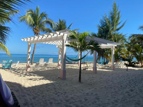 a white canopy on a beach with chairs and the ocean at Miramar Suites in Placencia Village