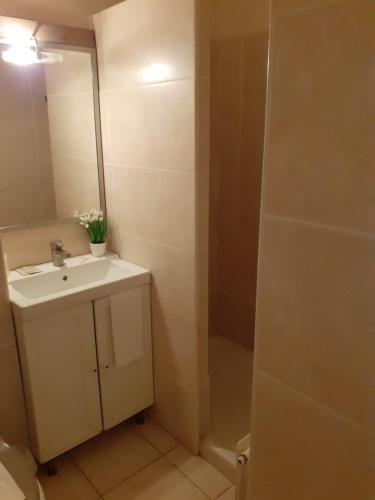 Koupelna v ubytování Hôtel Athéna