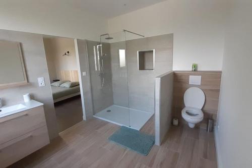 une salle de bain avec une douche, des toilettes et un lavabo dans l'établissement LA Maison D'AGEN, à Boé