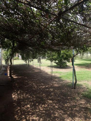 Casa Quinta – Photos 5