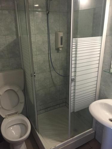 a bathroom with a shower with a toilet and a sink at Tiberius Residence in Costinesti