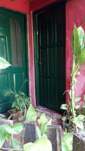 a green door of a red house with plants at Posada María Iguazú in Puerto Iguazú