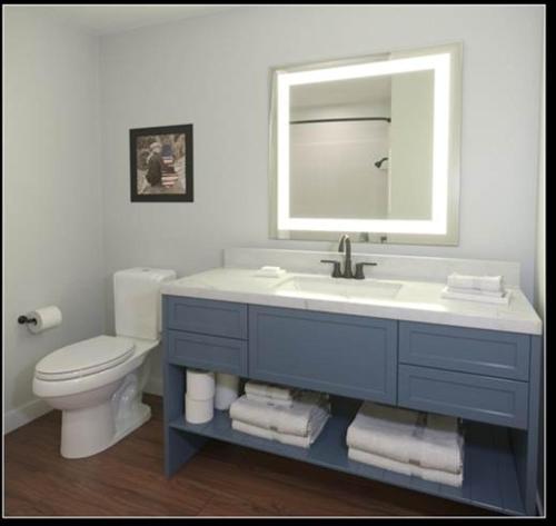 a bathroom with a sink and a toilet and a mirror at AmericInn by Wyndham New Braunfels in New Braunfels