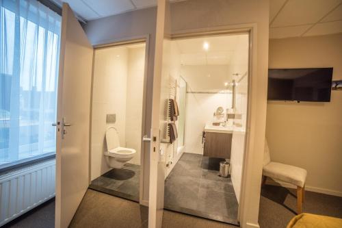 a bathroom with a toilet and a sink at De Eenhoorn in Oostburg