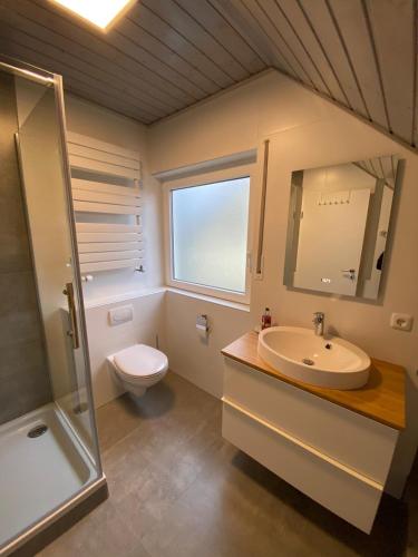a bathroom with a sink and a toilet and a shower at Ferienhaus Zum Talblick in Oberraden