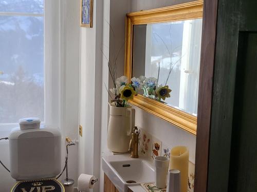 Koupelna v ubytování Alpina wiew