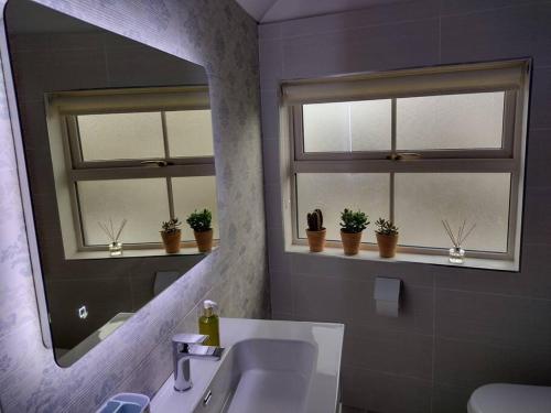 baño con lavabo y 2 ventanas con macetas. en White Birds Townhouse in Sligo Town Center en Sligo