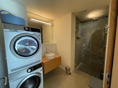 y baño con ducha y lavadora. en Selva Mountain Apartment en Flims