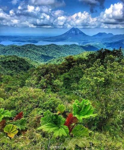 a view of a mountain in the distance with plants at Valle Dorado 9 in Coco