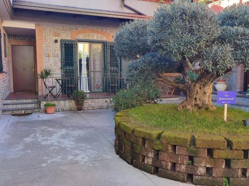 a house with a tree in the front of it at Midway House Italy Apartment in Sant'Egidio del Monte Albino