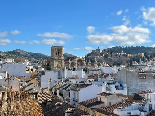 een uitzicht op een stad met een kathedraal en gebouwen bij Casa Luisa in Granada