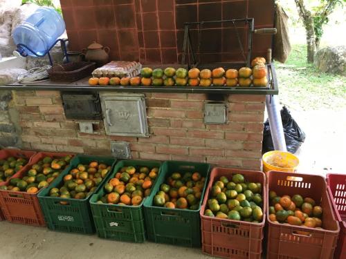 a bunch of baskets of oranges and other fruit at Finca La Belleza-Villeta in Villeta