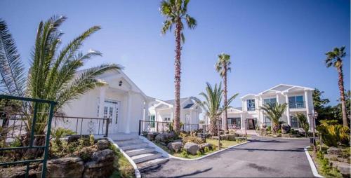 a large white house with palm trees and a driveway at Jeju Washington Pension in Seogwipo