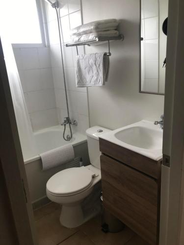 a small bathroom with a toilet and a sink at Refugio Alin Patagonia in Coihaique