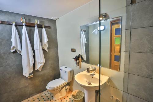 y baño con aseo, lavabo y ducha. en Riad Soultana, en Fez
