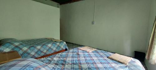 a bedroom with two beds in a room at Cabaña Sak Ja Selva Lacandona in Nuevo Progreso